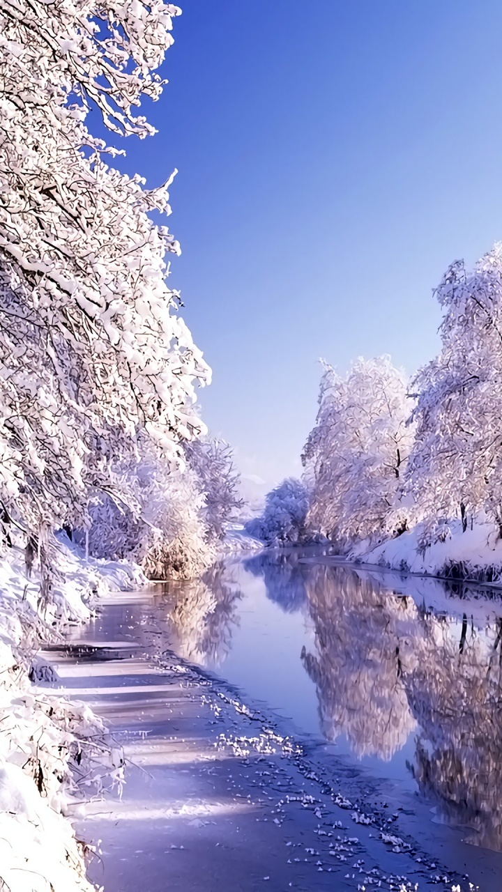 Winter, Water, Water Resources, Plant, Snow. Wallpaper in 720x1280 Resolution