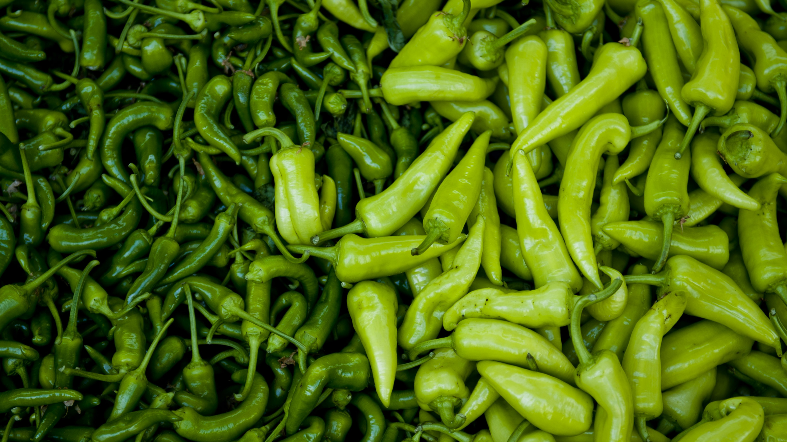 辣椒, 产生, 食品, 天然的食物, 辣椒辣椒 壁纸 2560x1440 允许