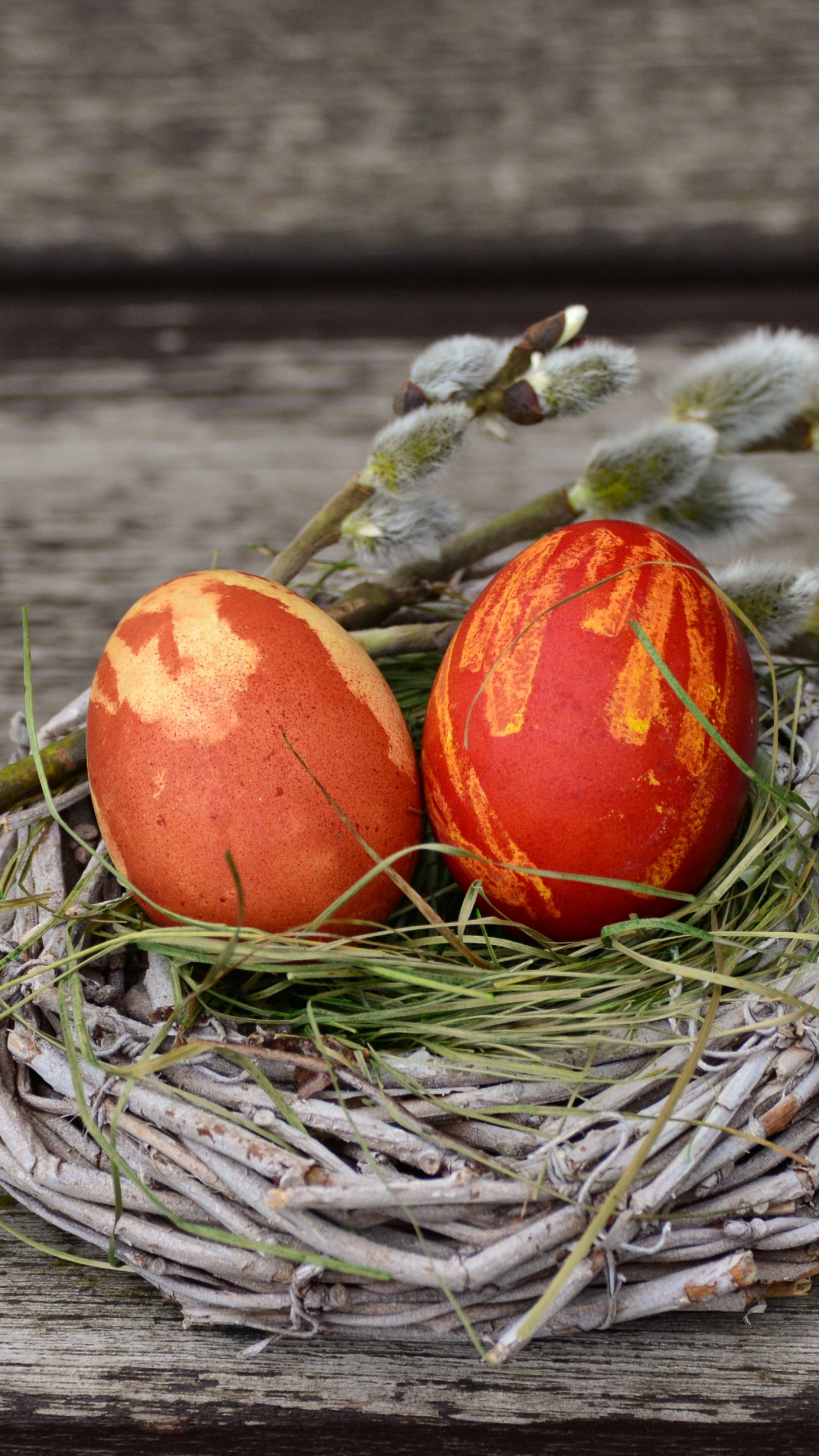 Egg, Easter Egg, Nest, Food, Still Life. Wallpaper in 1440x2560 Resolution