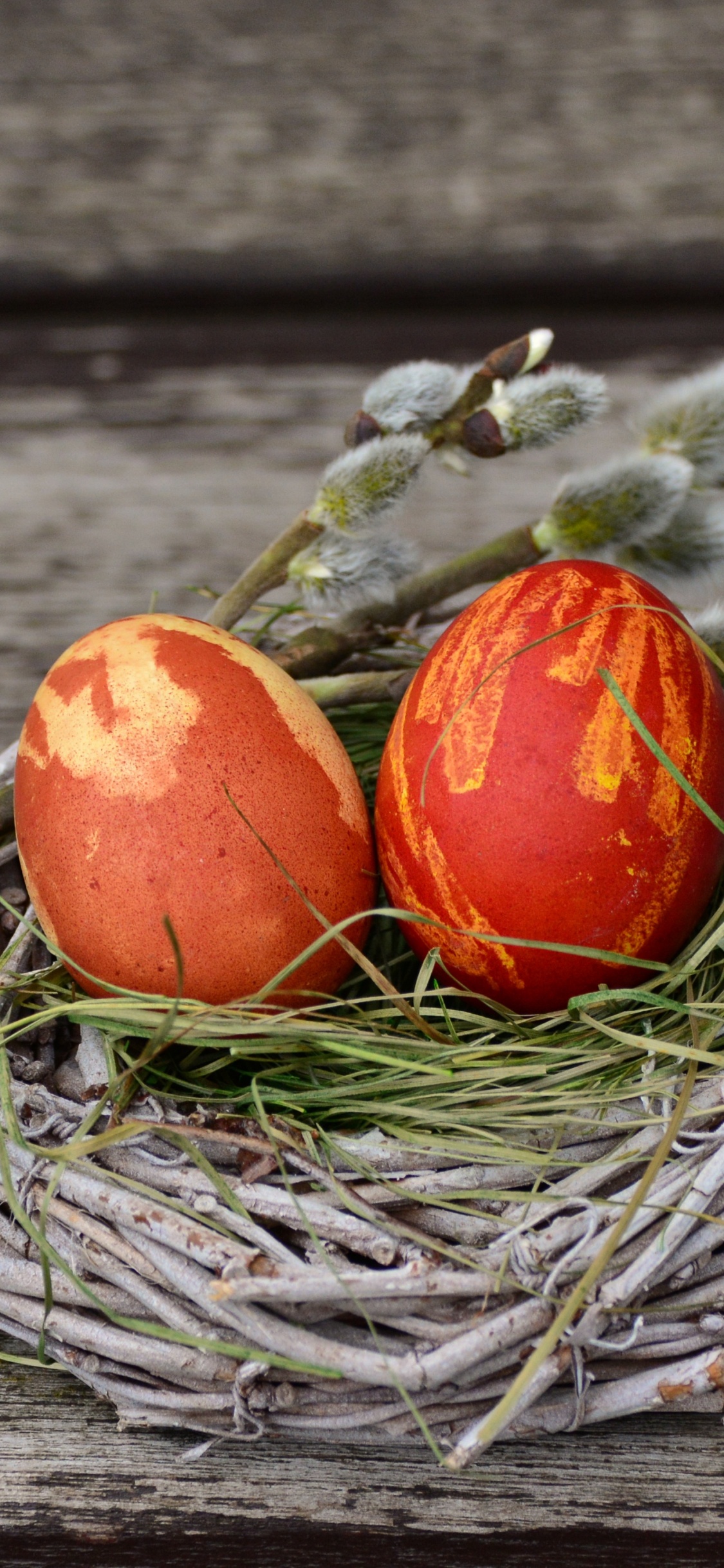 Huevo, Huevo de Pascua, Nido, Alimento, Todavía la Vida. Wallpaper in 1125x2436 Resolution