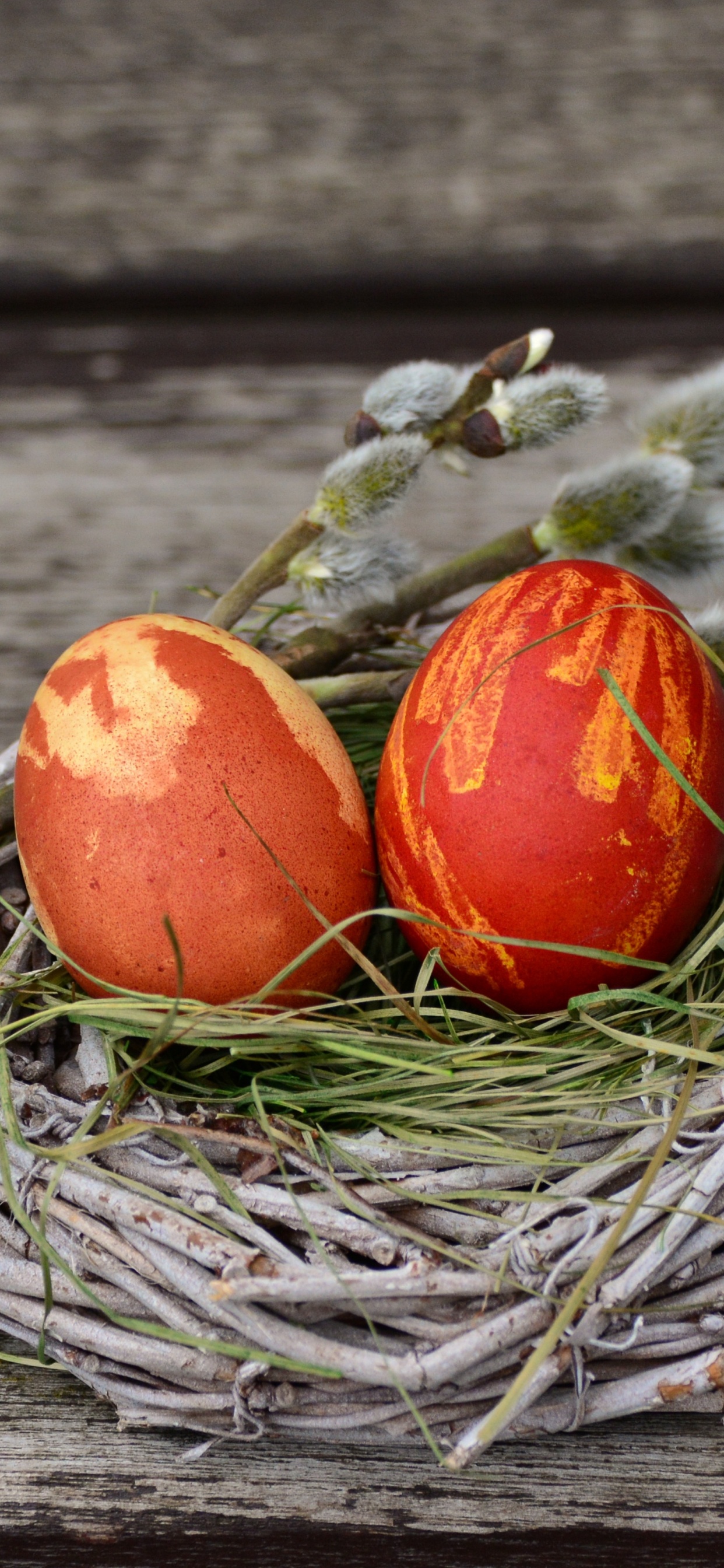 Huevo, Huevo de Pascua, Nido, Alimento, Todavía la Vida. Wallpaper in 1242x2688 Resolution