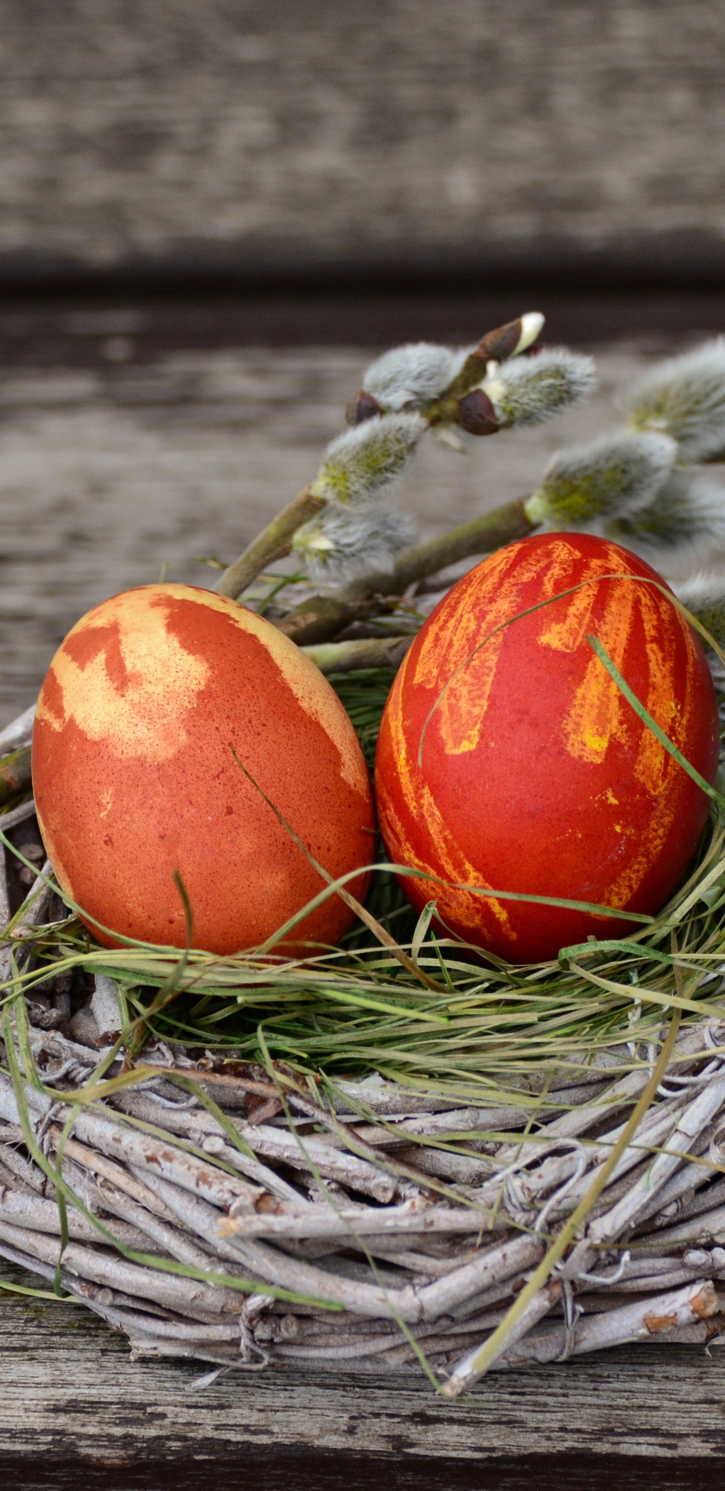 Huevo, Huevo de Pascua, Nido, Alimento, Todavía la Vida. Wallpaper in 1440x2960 Resolution