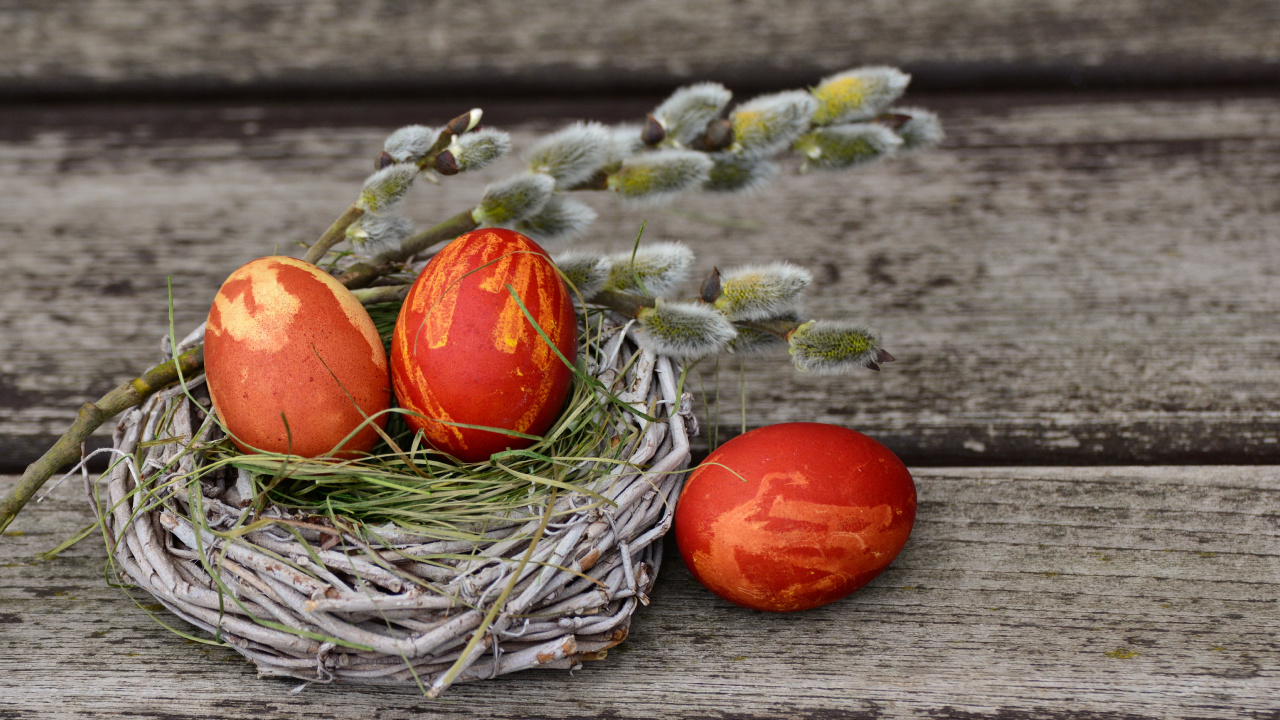 Oeuf, Oeuf de Pâques, Aliment, Encore de la Vie, Pâques. Wallpaper in 1280x720 Resolution