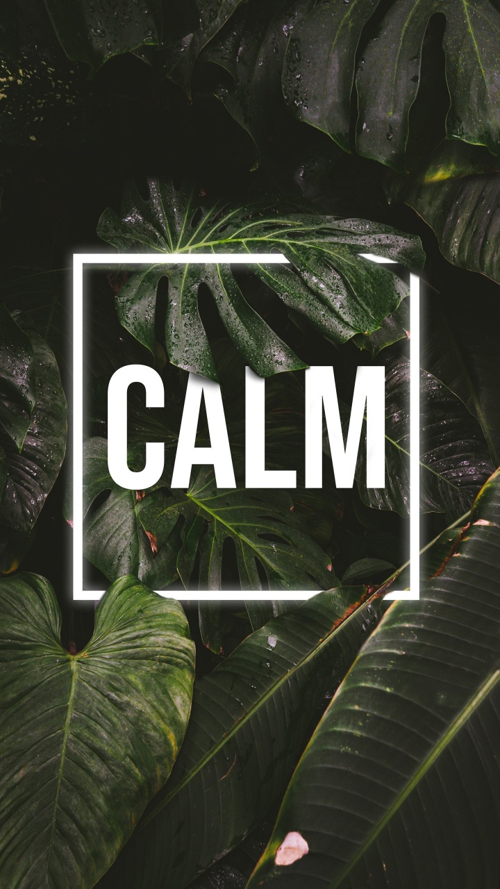 Natur, Geist Von Tsushima, Unterreddit, Blatt, Botanik. Wallpaper in 720x1280 Resolution