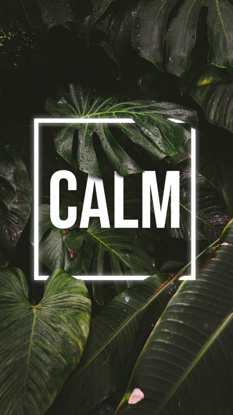 Natur, Geist Von Tsushima, Unterreddit, Blatt, Botanik. Wallpaper in 750x1334 Resolution