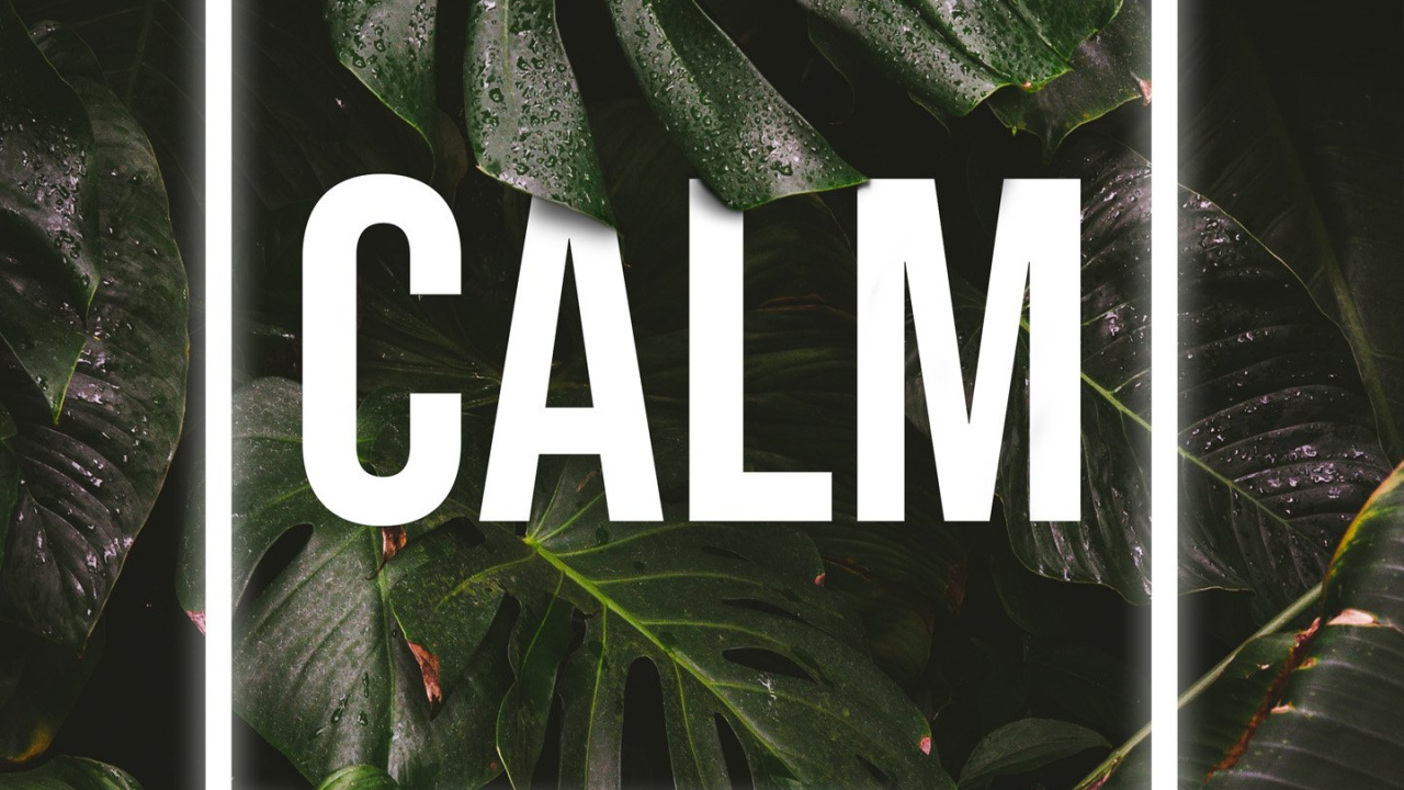 Naturaleza, Fantasma de Tsushima, Subreddit, la Botánica, Planta Terrestre. Wallpaper in 1280x720 Resolution