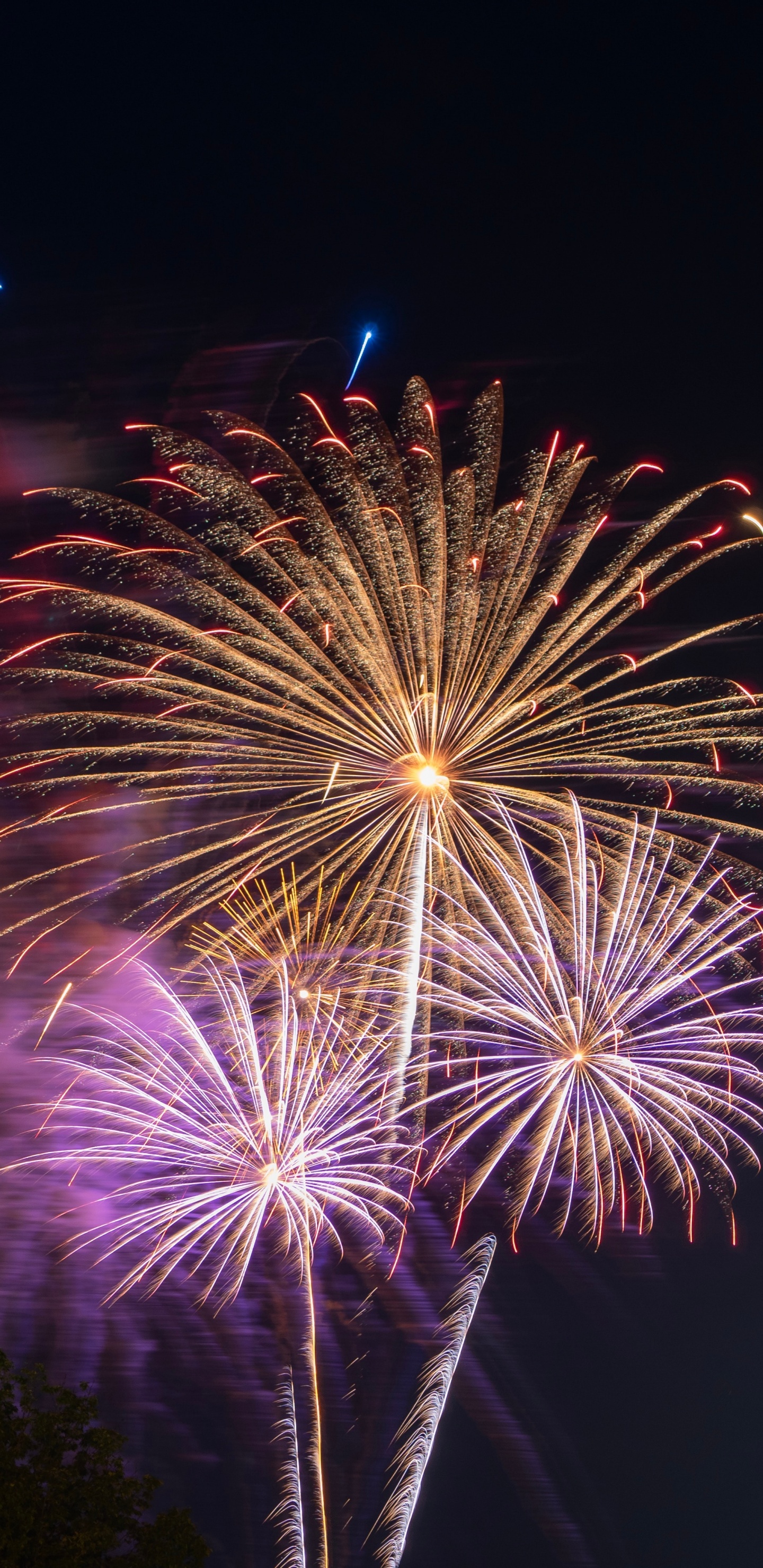 Artifice, le Jour de L'an, Nuit, Minuit, Festival. Wallpaper in 1440x2960 Resolution