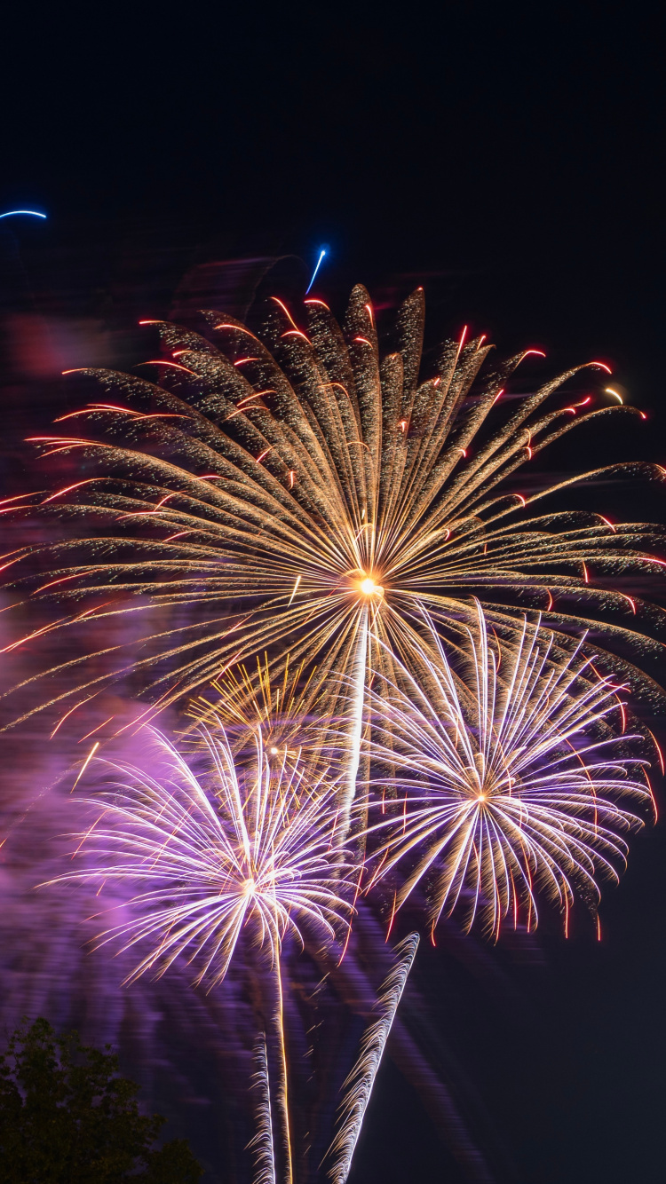 Feuerwerk, Neue Jahre Tag, Nacht, Mitternacht, Festival. Wallpaper in 750x1334 Resolution