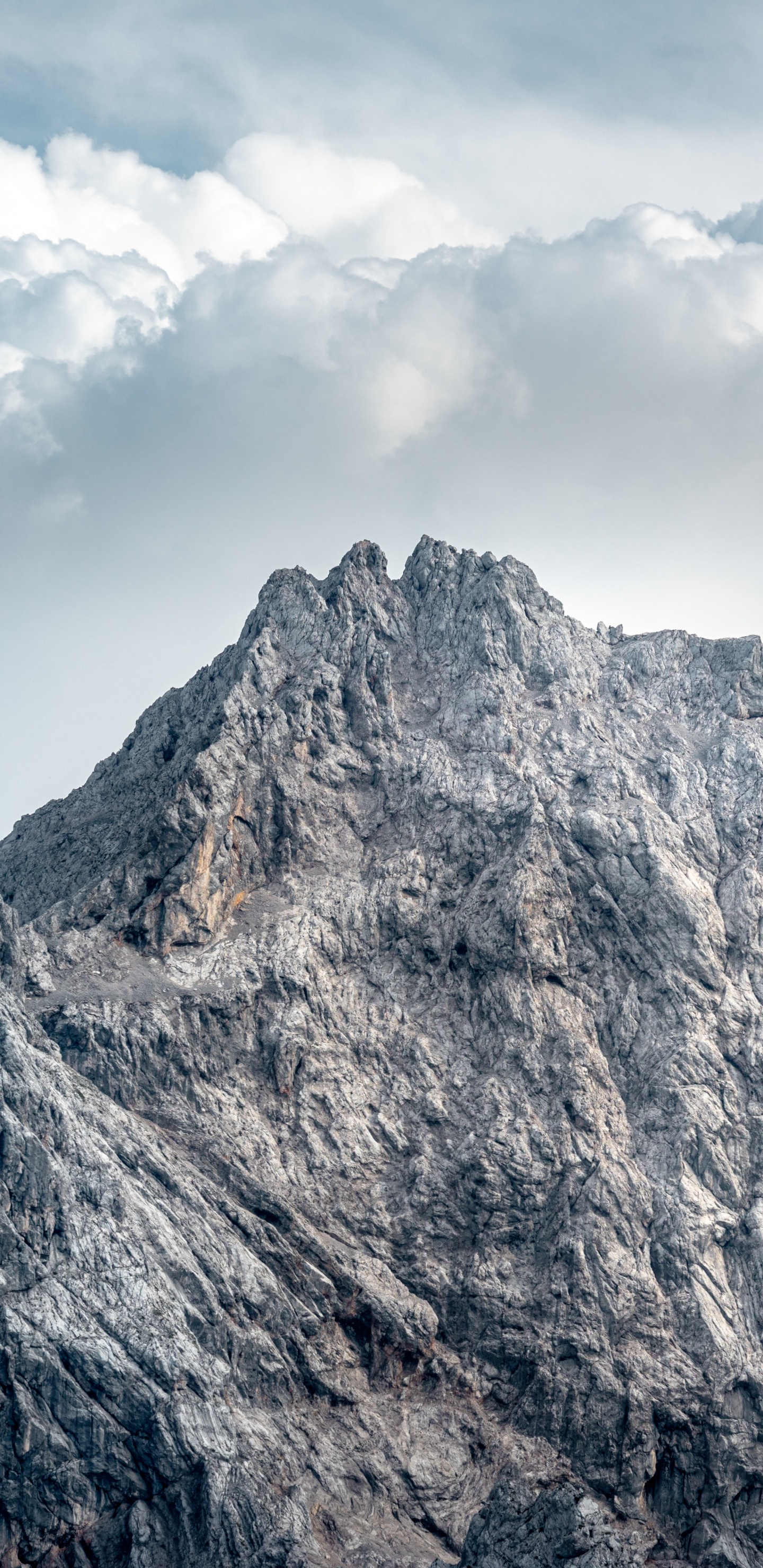 Neuschwanstein Castle, France, Mountain, Nature, Cloud. Wallpaper in 1440x2960 Resolution