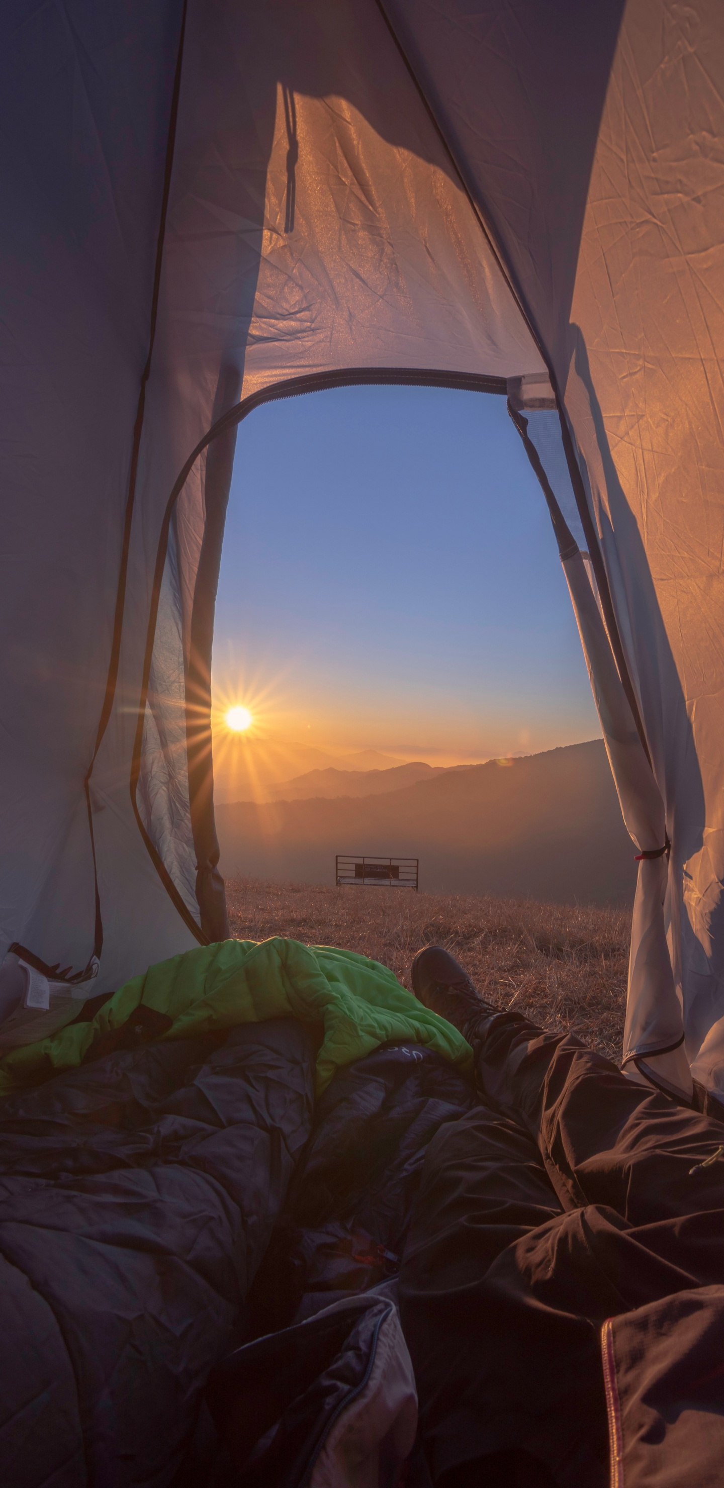 Tente, Camping, Matin, Chambre, Lever. Wallpaper in 1440x2960 Resolution