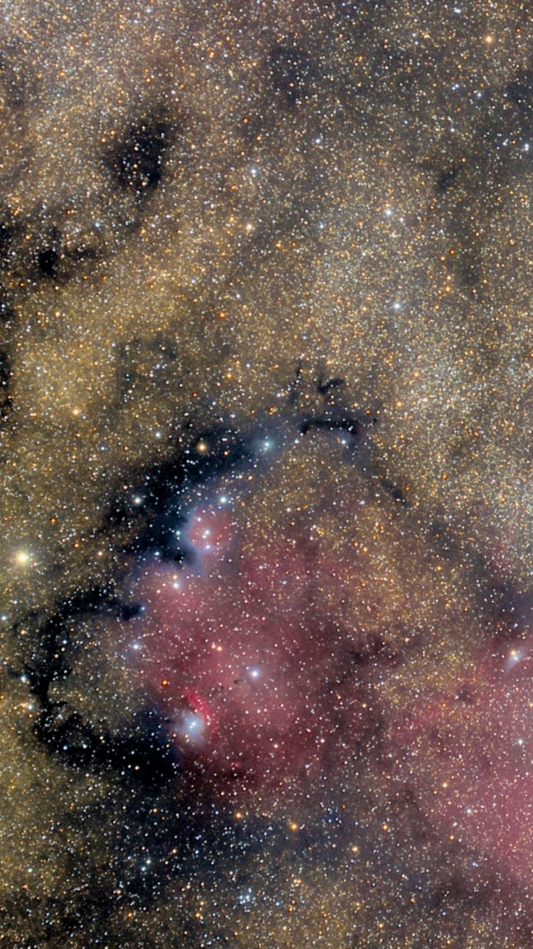 Nebula, Brown, Astronomical Object, Galaxy, Science. Wallpaper in 750x1334 Resolution