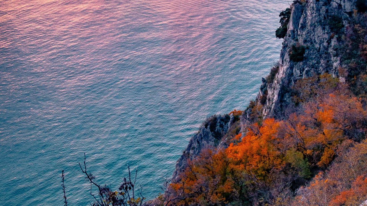 Water, Plant, Azure, Natural Landscape, Body of Water. Wallpaper in 1280x720 Resolution