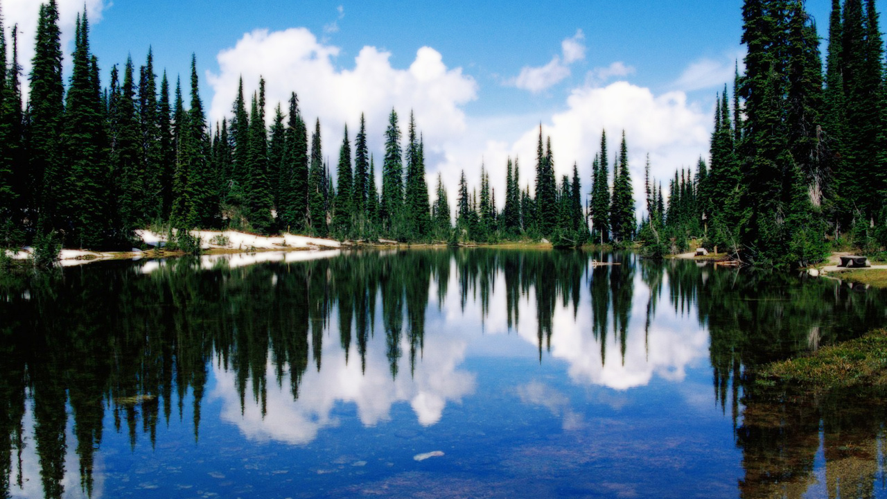 Green Trees Beside Body of Water Under Blue Sky During Daytime. Wallpaper in 1280x720 Resolution