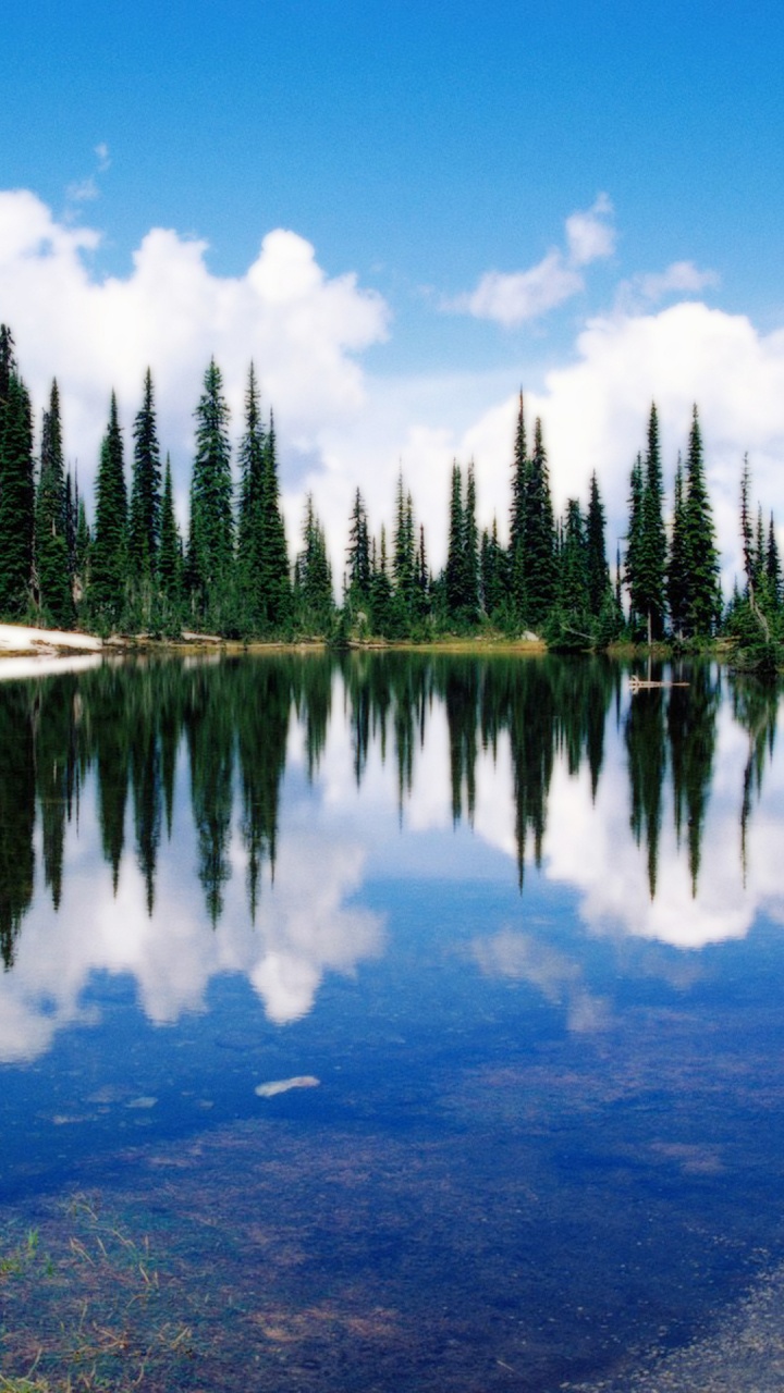 Green Trees Beside Body of Water Under Blue Sky During Daytime. Wallpaper in 720x1280 Resolution