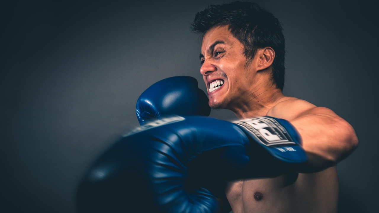 Man in Black and Blue Boxing Gloves. Wallpaper in 1280x720 Resolution