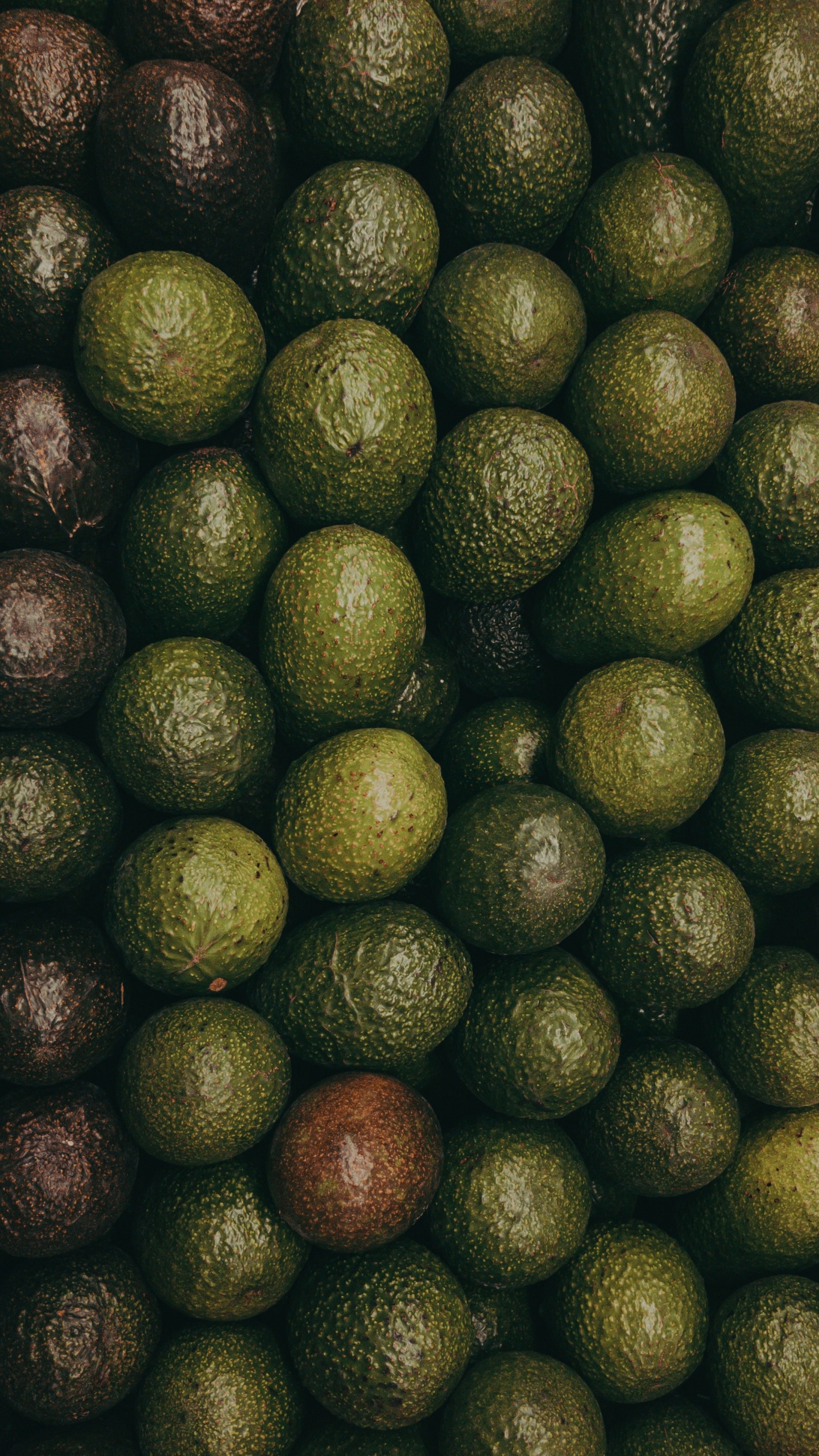 Fruits Ronds Verts et Bruns. Wallpaper in 1440x2560 Resolution