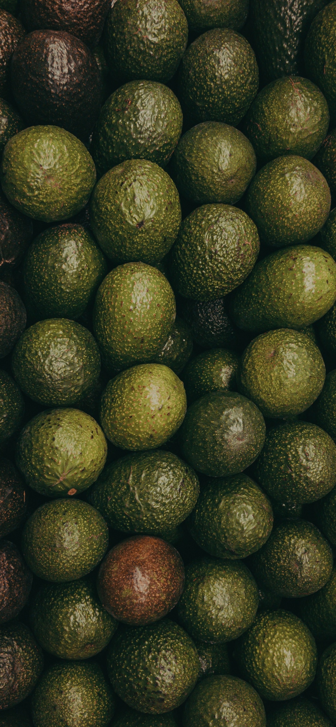 Green and Brown Round Fruits. Wallpaper in 1125x2436 Resolution