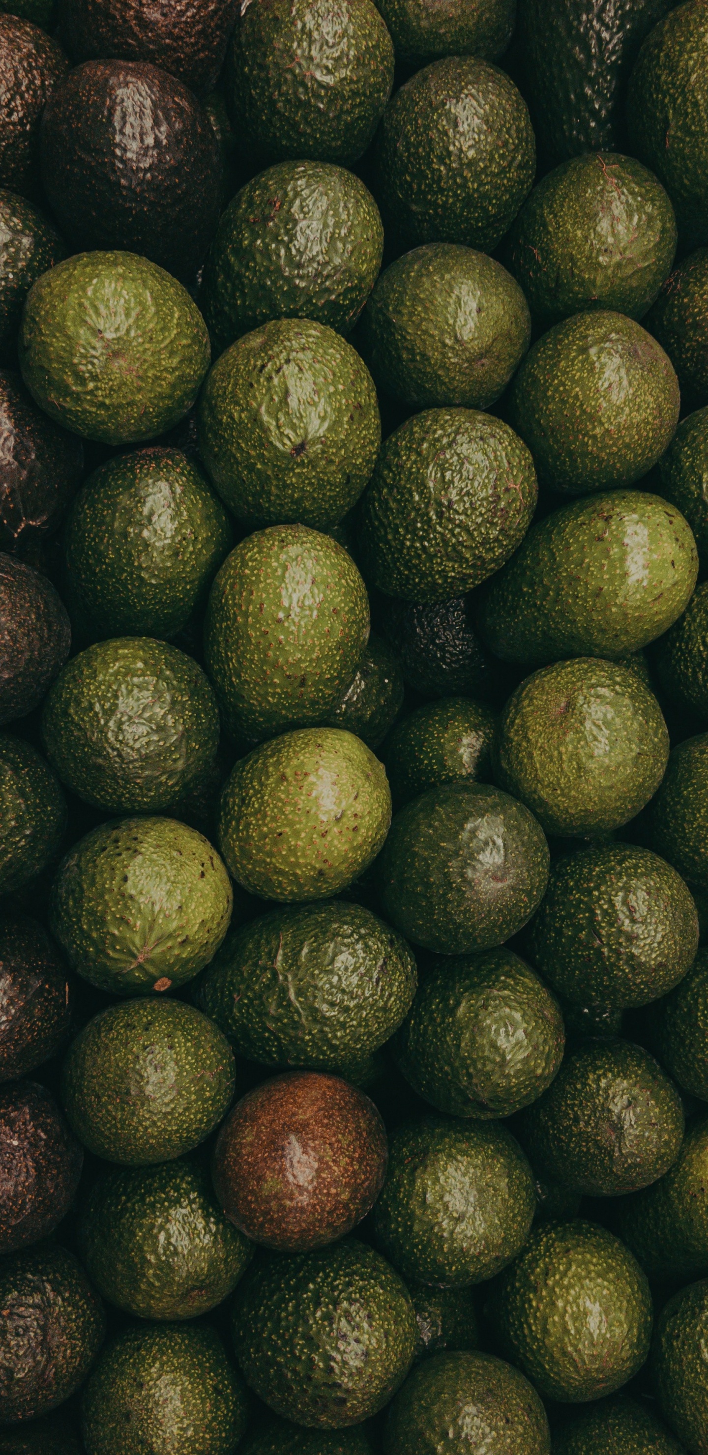 Green and Brown Round Fruits. Wallpaper in 1440x2960 Resolution