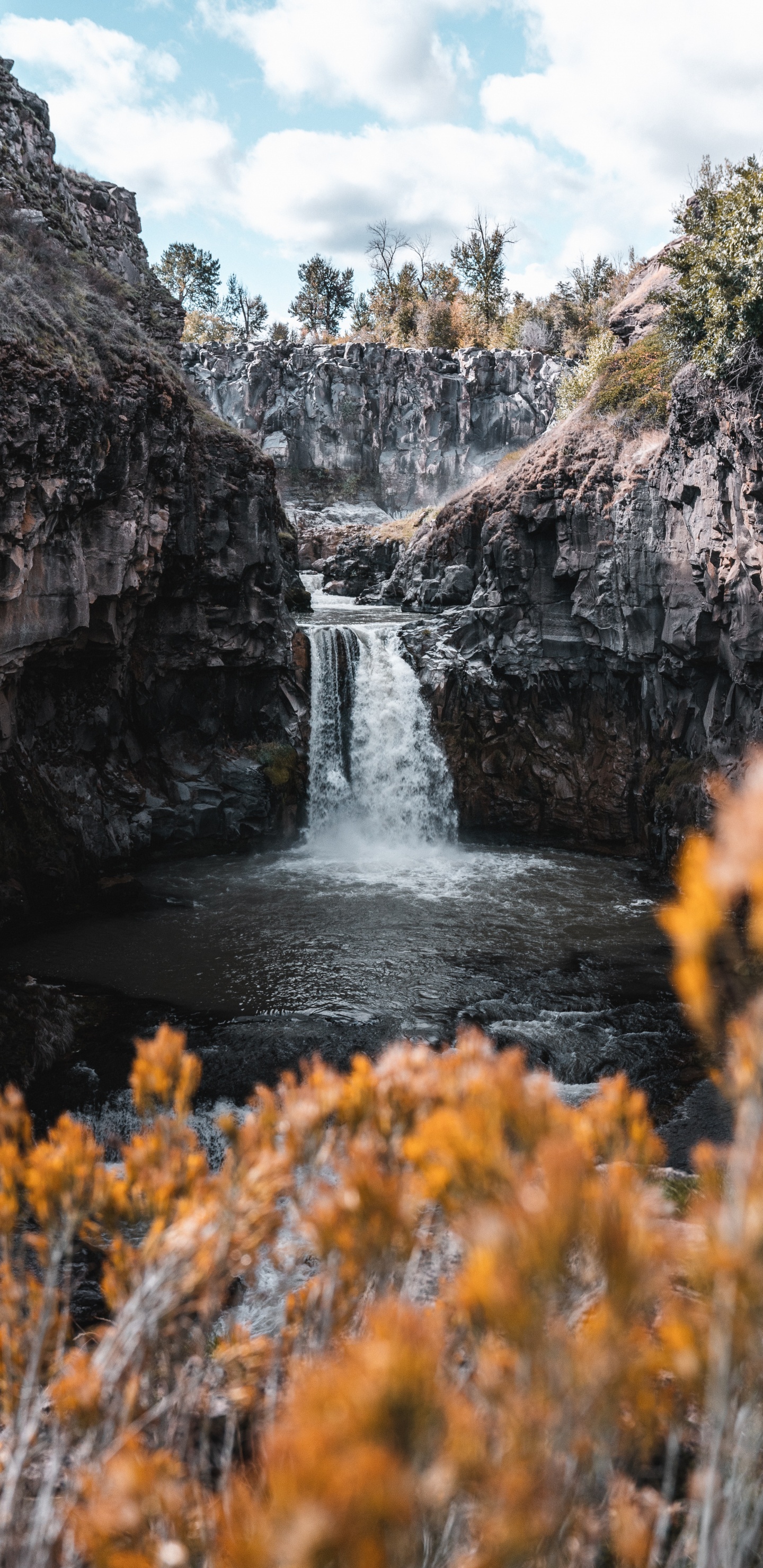 White River Falls State Park, Waterfall, White River Falls, Body of Water, Nature. Wallpaper in 1440x2960 Resolution