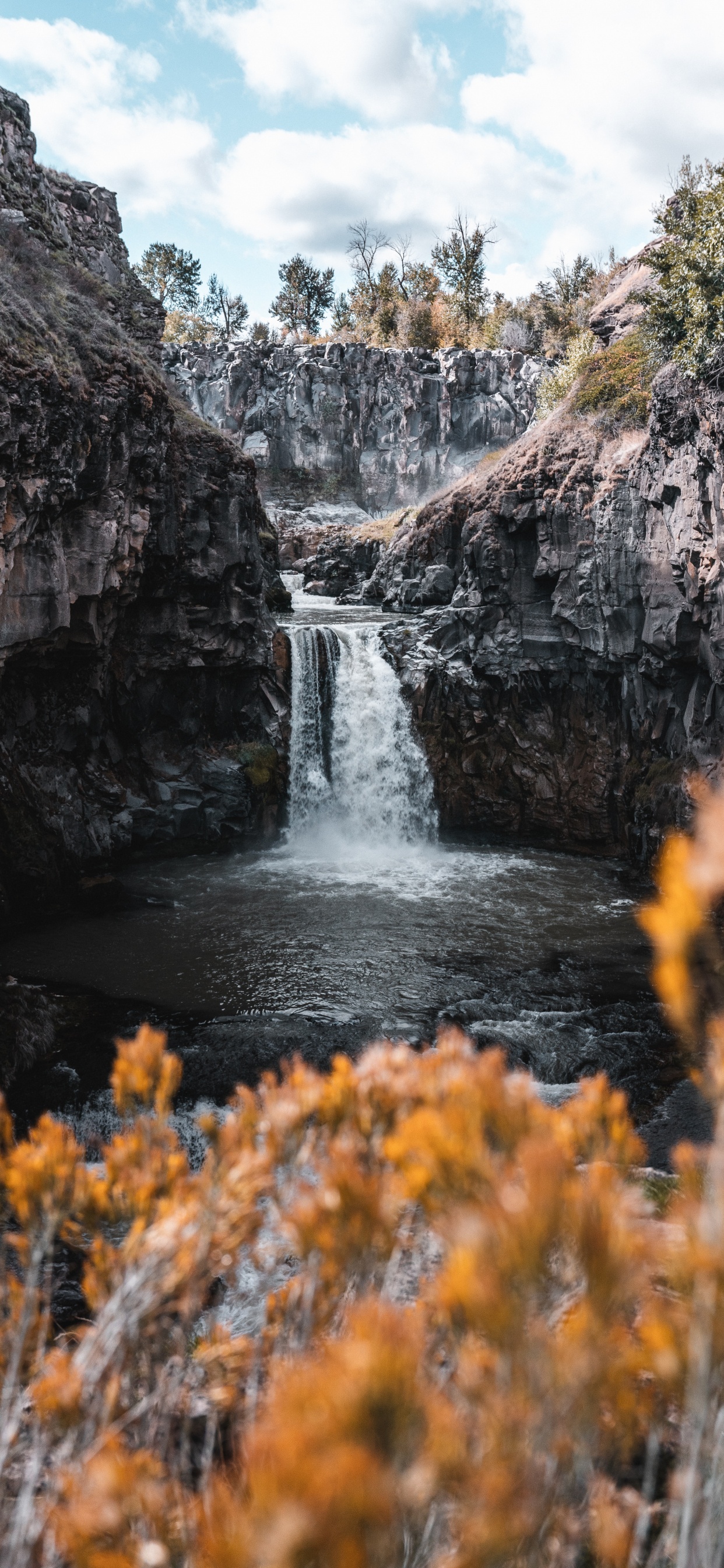 White River Falls State Park, Wasserfall, Gewässer, Natur, Naturlandschaft. Wallpaper in 1242x2688 Resolution