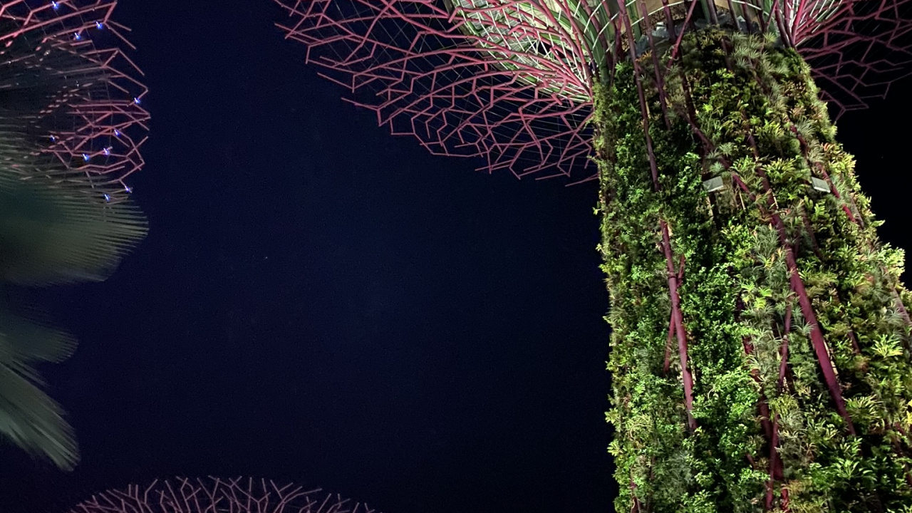 Singapore, Nature, Physics, Science, Biology. Wallpaper in 1280x720 Resolution