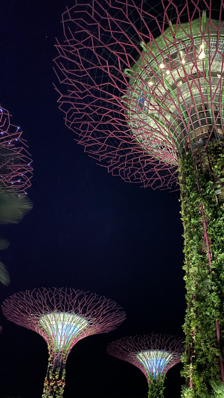 Singapur, Natur, Physik, Wissenschaft, Biologie. Wallpaper in 750x1334 Resolution