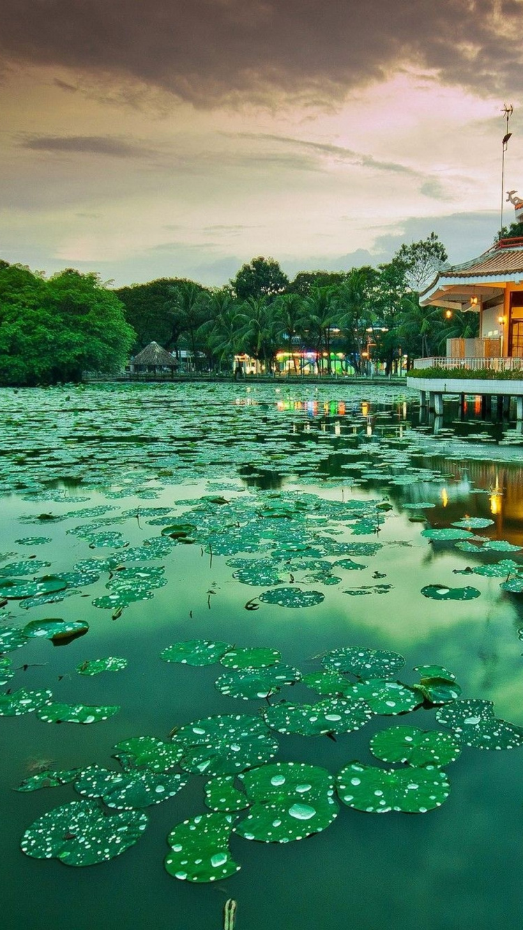 Brown and White Temple Surrounded by Green Trees and Water. Wallpaper in 750x1334 Resolution