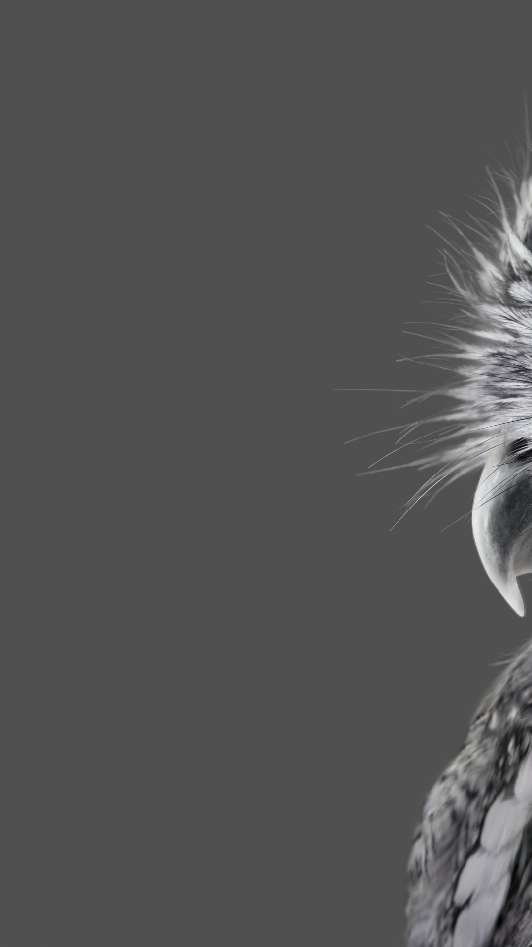 下载 1080x1920 壁纸 Microsoft Surface, Microsoft Surface Studio, Surface Studio, 微软Surface Studio 2, Microsoft Microsoft Surface, Microsoft Surface Studio, Surface Studio, 微软Surface Studio 2, Microsoft 壁纸 1080x1920 允许
