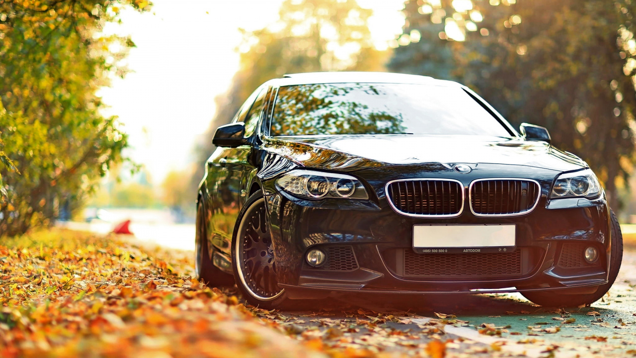 Schwarzes Bmw Auto Auf Braunen Blättern. Wallpaper in 1280x720 Resolution