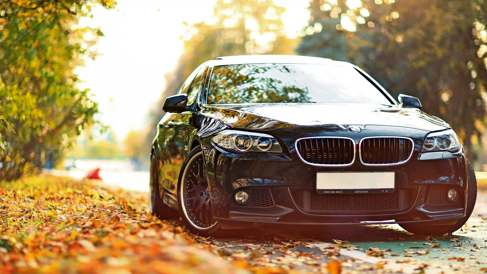 Schwarzes Bmw Auto Auf Braunen Blättern. Wallpaper in 1920x1080 Resolution