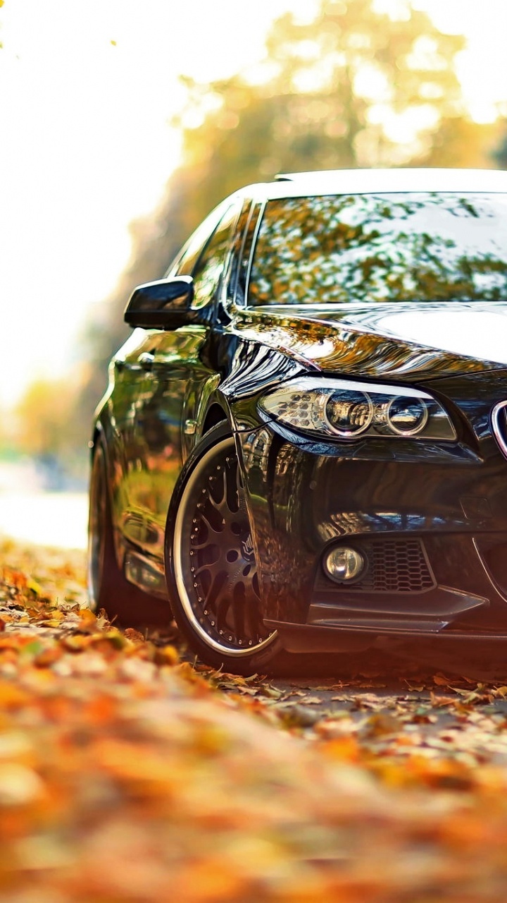 Voiture Bmw Noire Sur Des Feuilles Brunes. Wallpaper in 720x1280 Resolution