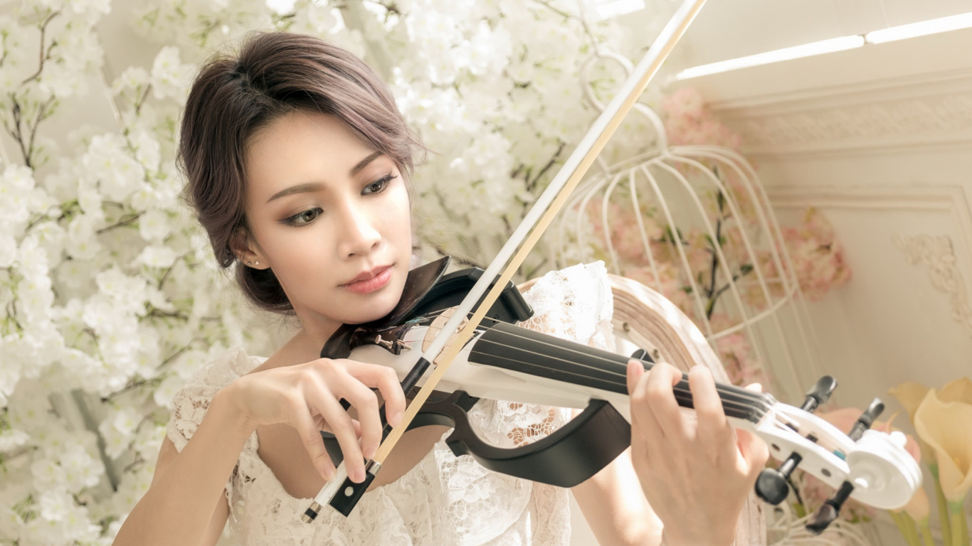 Streichinstrument, Bratschist, Geiger, Violine Familie, Braut. Wallpaper in 1366x768 Resolution