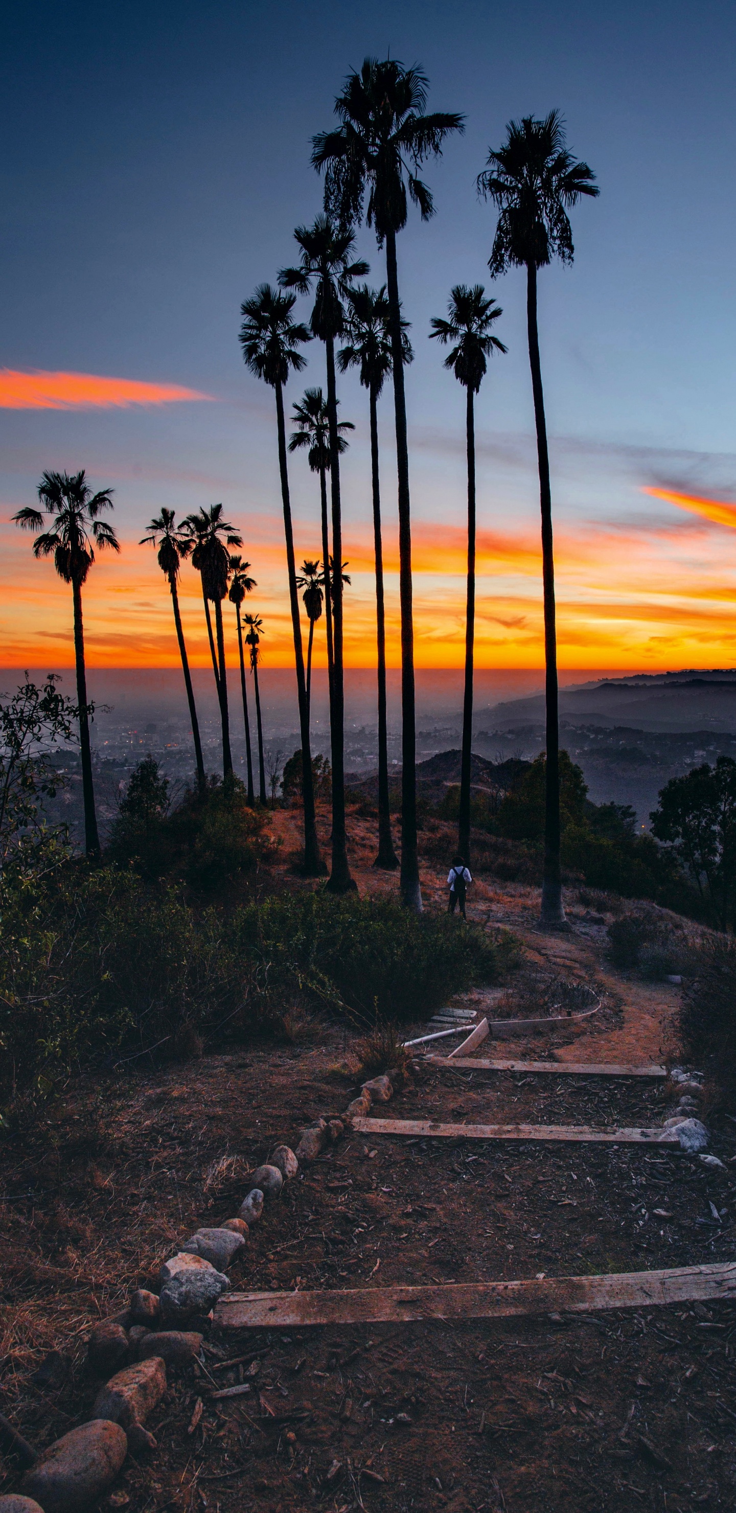 Coran, Voyage, Sac, Vacances, Voyage en Solo. Wallpaper in 1440x2960 Resolution