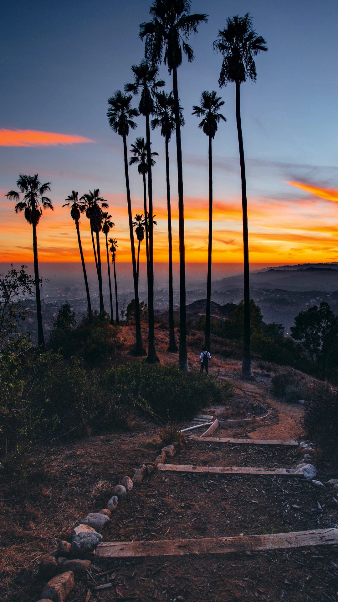 Quran, Reise, Rucksack, Urlaub, Allein Reisen. Wallpaper in 1080x1920 Resolution