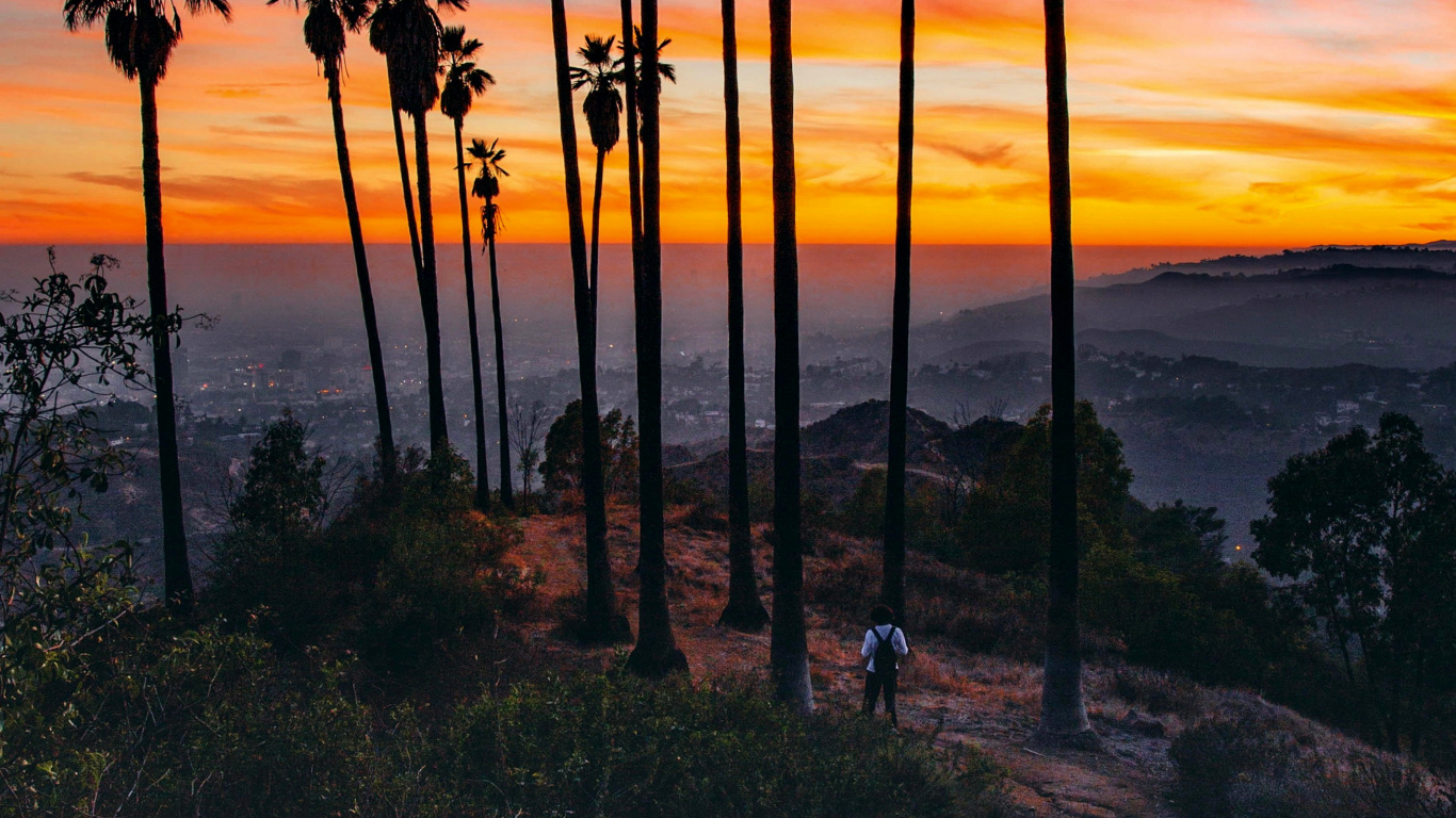 Quran, Travel, Backpack, Vacation, Solo Travel. Wallpaper in 1366x768 Resolution