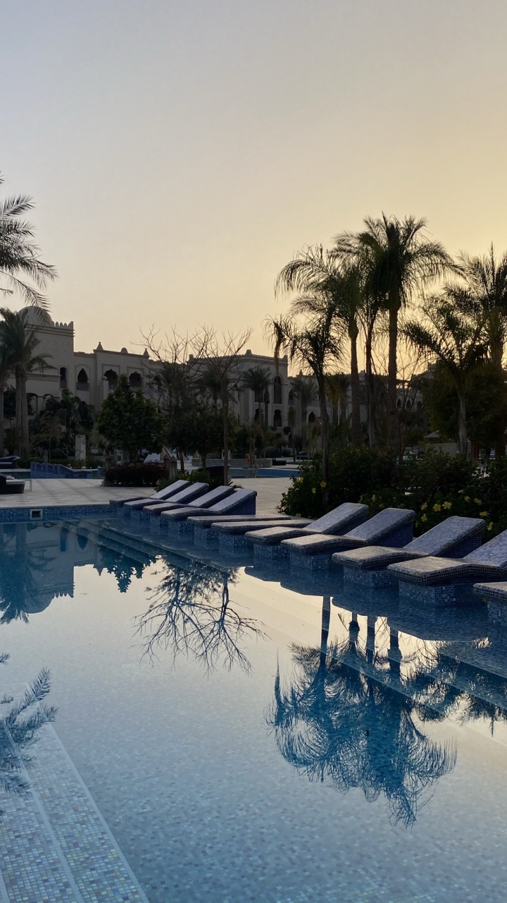 Reflection, Water, Water Resources, Daytime, Plant. Wallpaper in 720x1280 Resolution