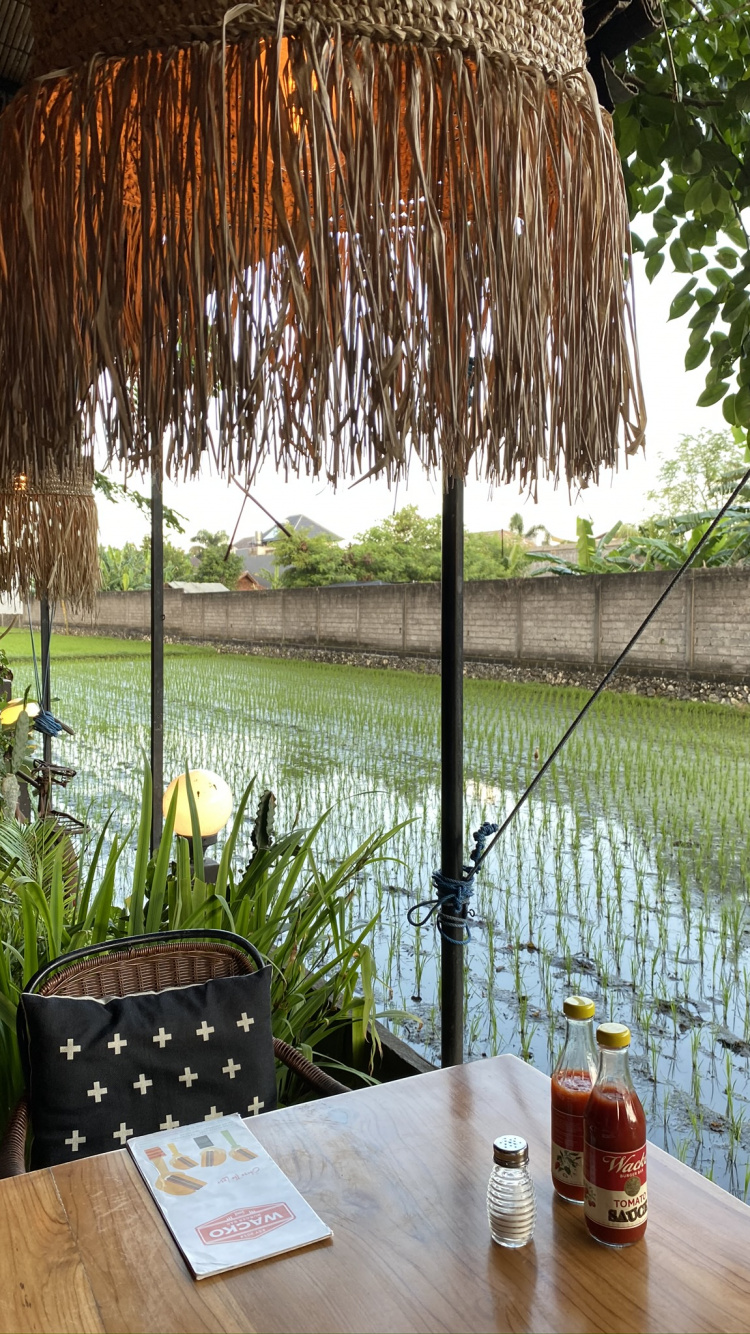 Bali, Agua, Palmera, Ciencia, Biología. Wallpaper in 750x1334 Resolution