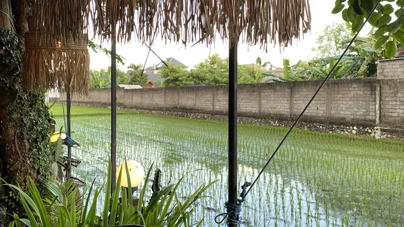 Bali, Wasser, Palme, Wissenschaft, Biologie. Wallpaper in 1366x768 Resolution