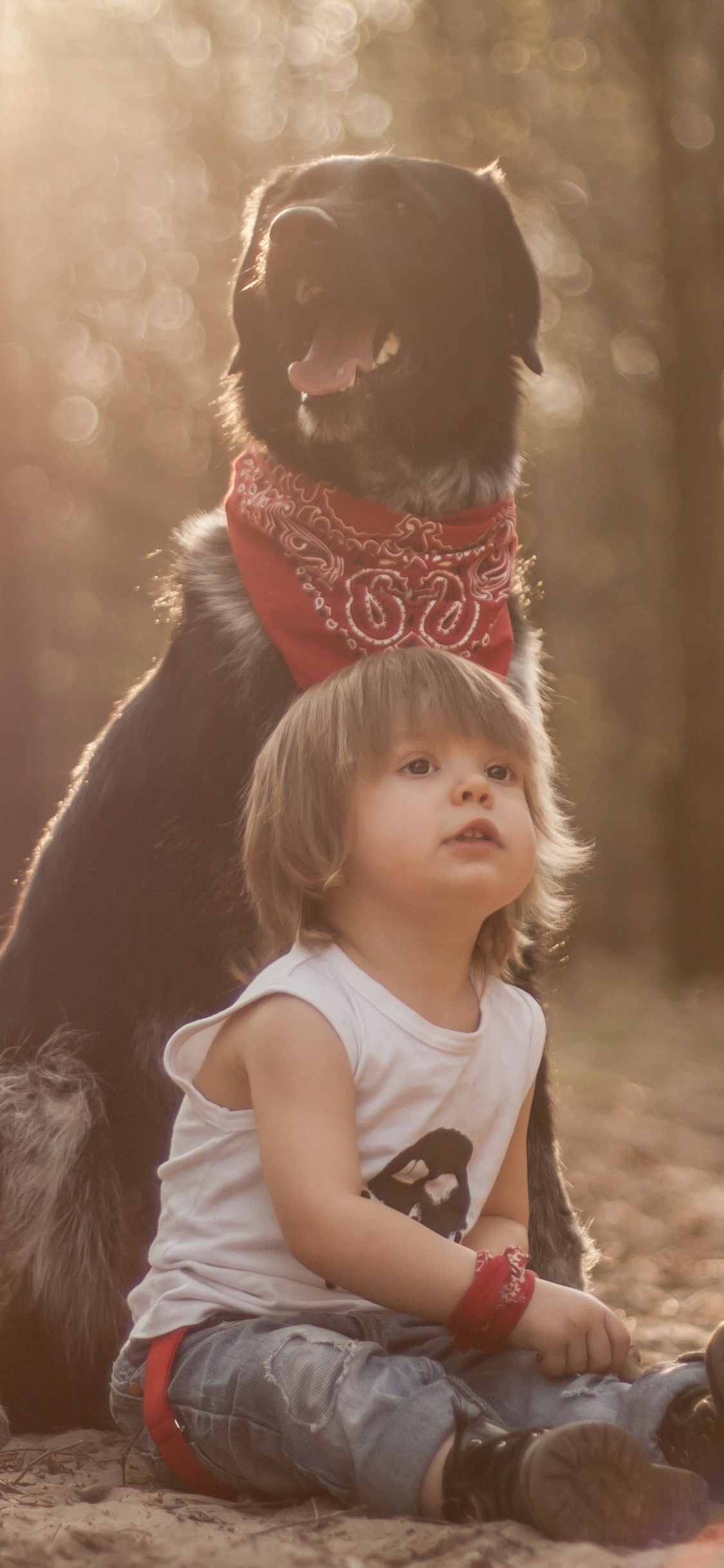 Child, Sunlight, Fun, Tree, Grass. Wallpaper in 1125x2436 Resolution