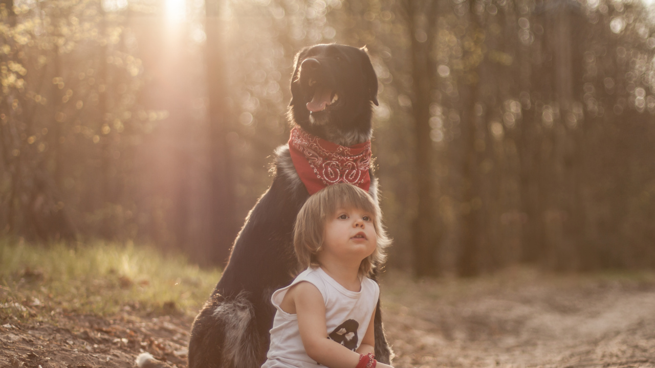 Child, Sunlight, Fun, Tree, Grass. Wallpaper in 1280x720 Resolution