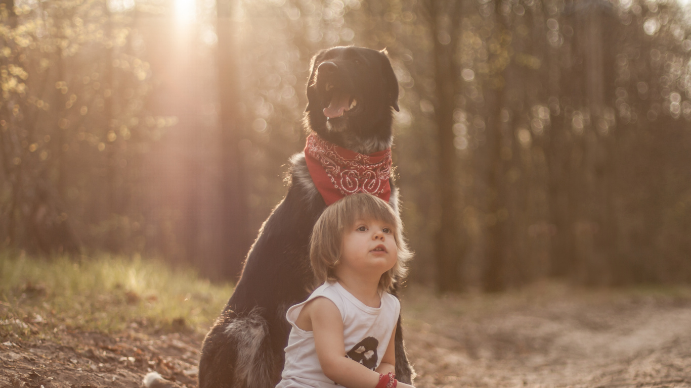 Child, Sunlight, Fun, Tree, Grass. Wallpaper in 1366x768 Resolution