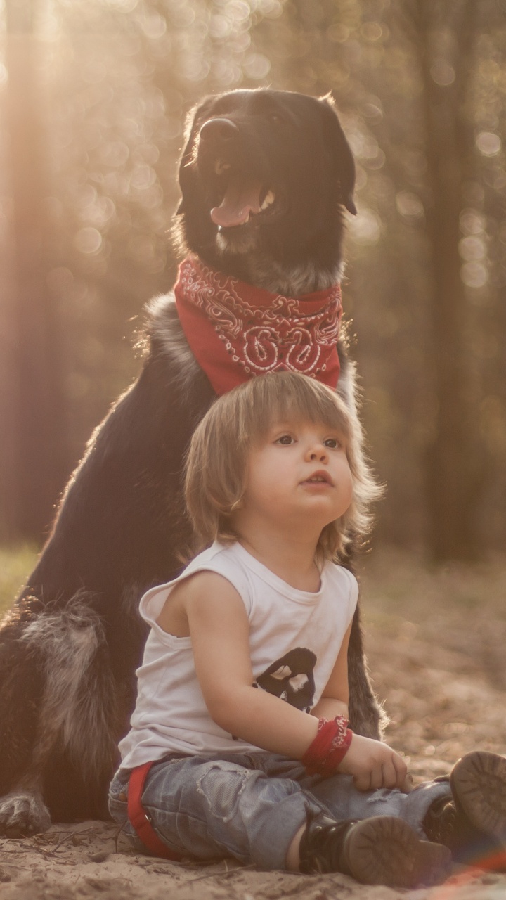 Child, Sunlight, Fun, Tree, Grass. Wallpaper in 720x1280 Resolution