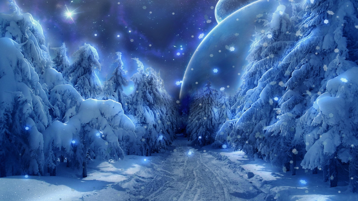 Pinos Cubiertos de Nieve Durante la Noche. Wallpaper in 1366x768 Resolution