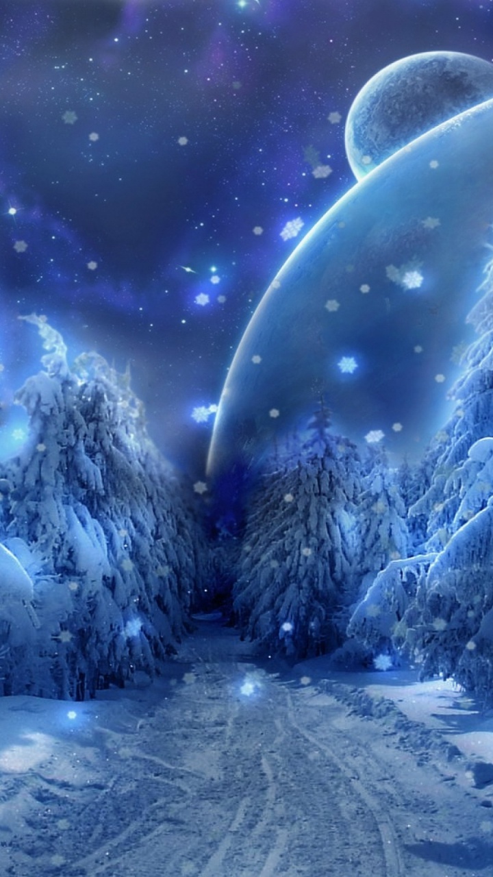 Snow Covered Pine Trees During Night Time. Wallpaper in 720x1280 Resolution