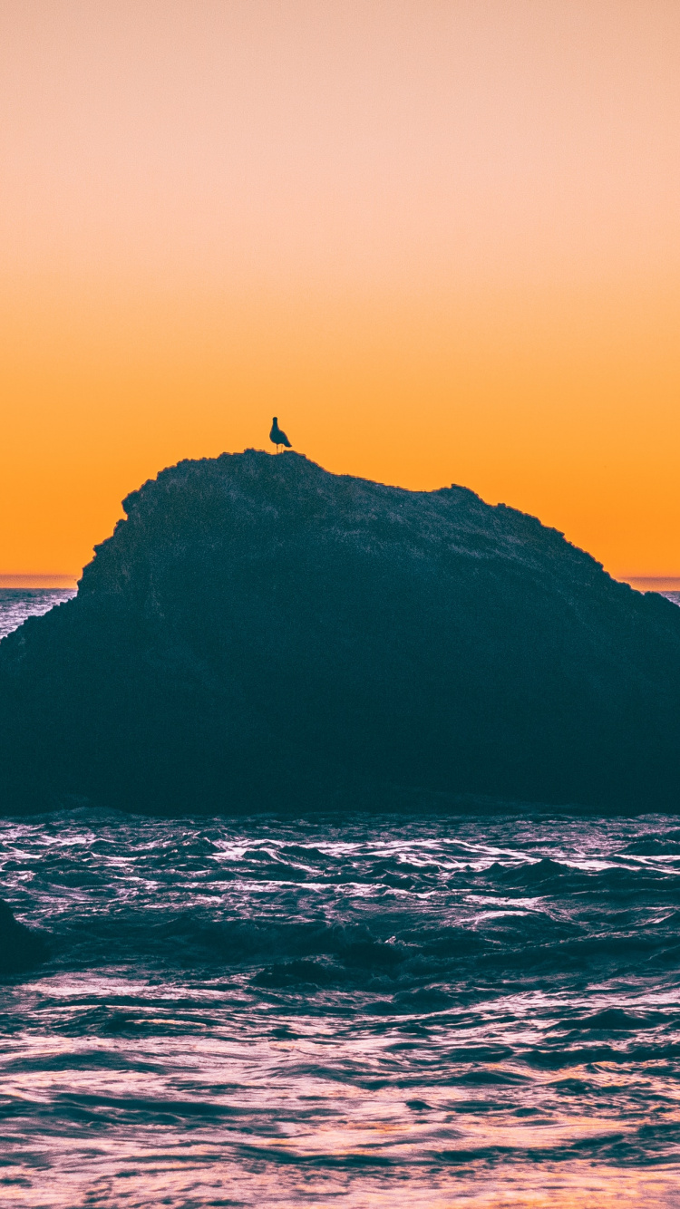 Sunset, Body of Water, Sea, Horizon, Ocean. Wallpaper in 750x1334 Resolution