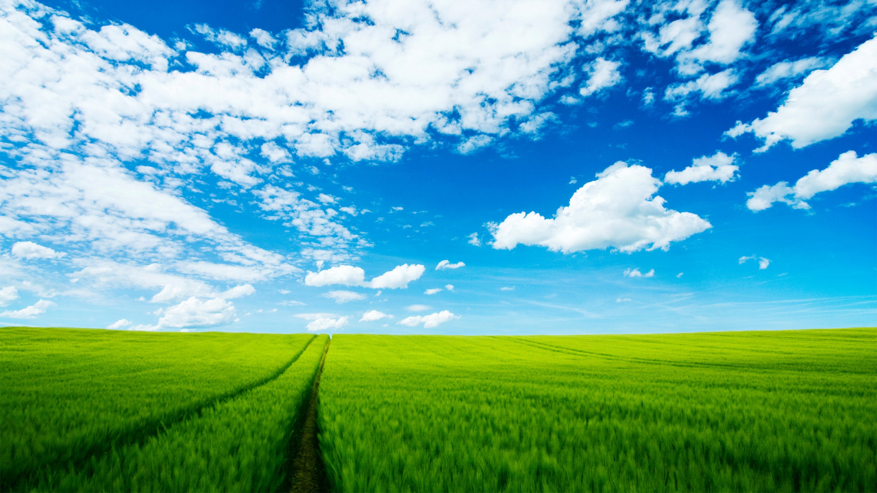 Grüne Wiese Unter Blauem Himmel Und Weißen Wolken Tagsüber. Wallpaper in 1280x720 Resolution