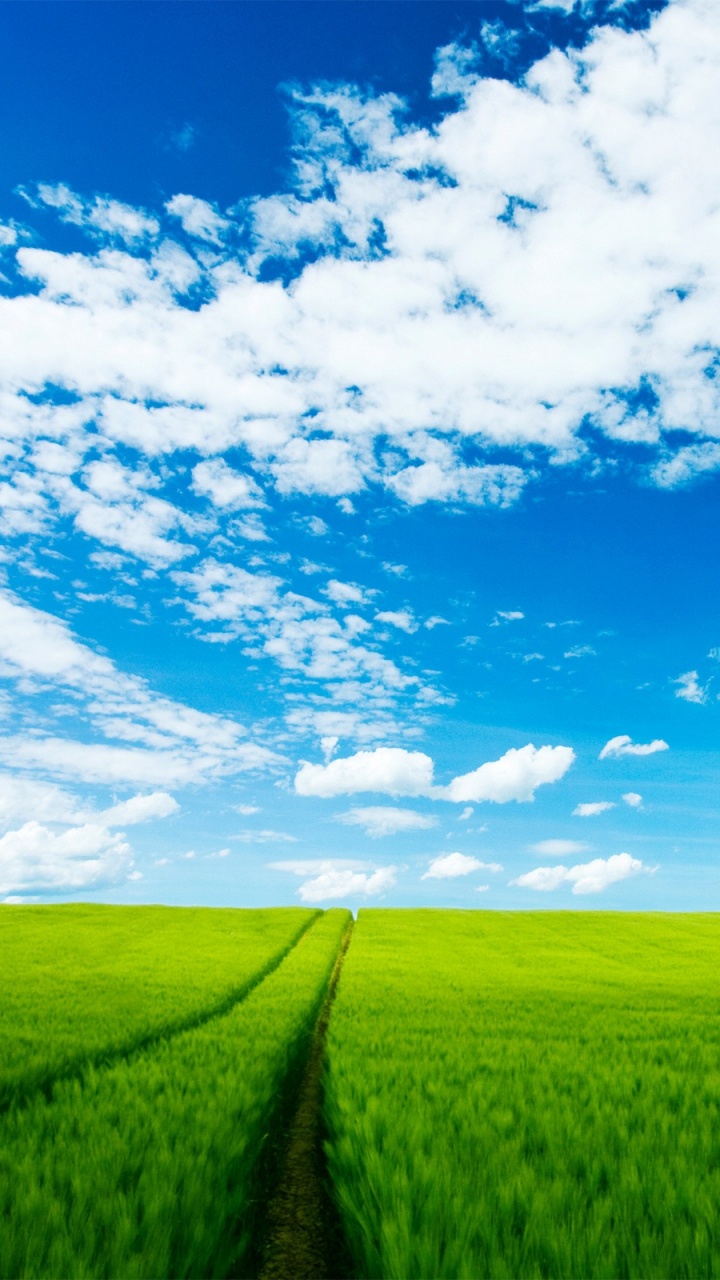 Grüne Wiese Unter Blauem Himmel Und Weißen Wolken Tagsüber. Wallpaper in 720x1280 Resolution