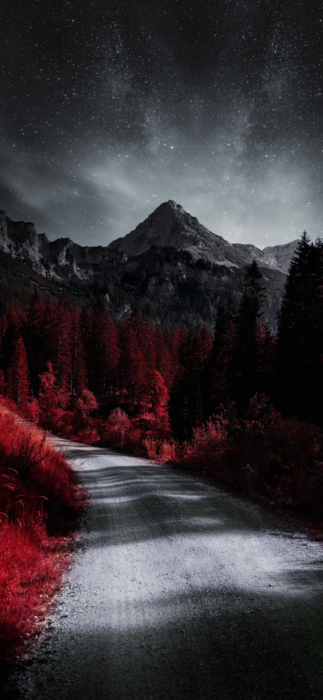 Plant, Atmosphere, Cloud, Natural Landscape, Natural Environment. Wallpaper in 1125x2436 Resolution