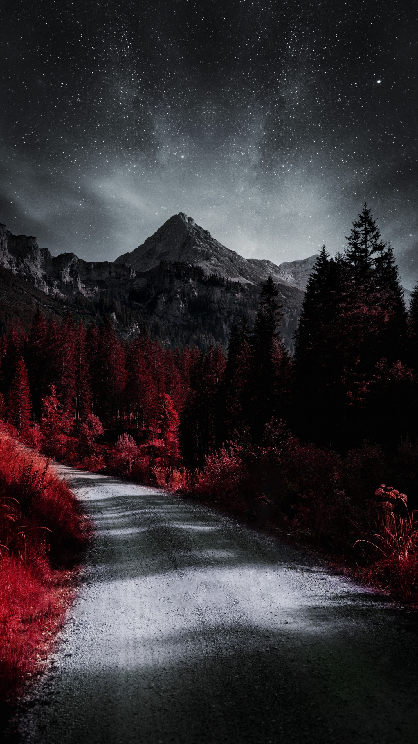 Plant, Atmosphere, Cloud, Natural Landscape, Natural Environment. Wallpaper in 1440x2560 Resolution