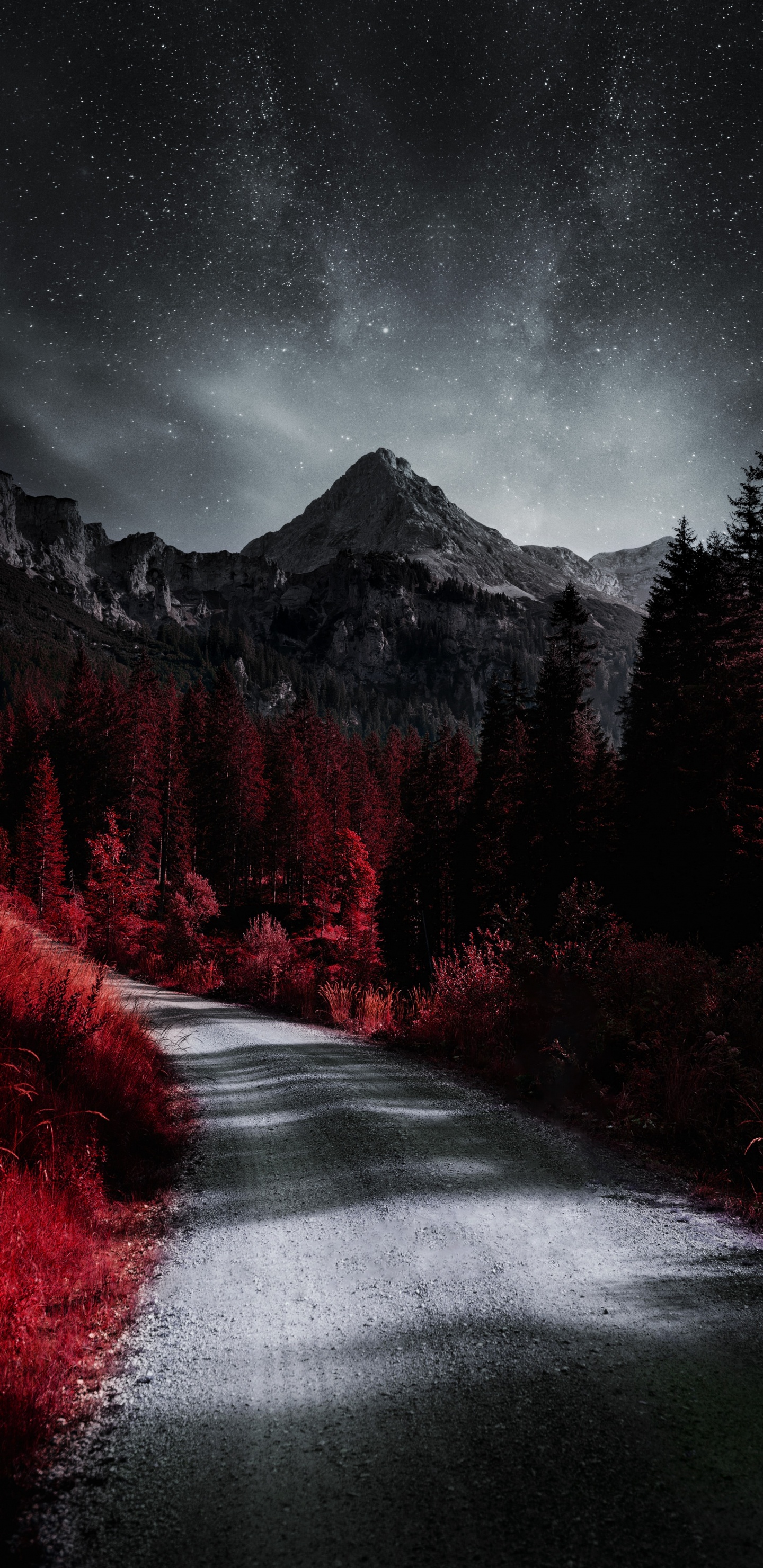 Plant, Atmosphere, Cloud, Natural Landscape, Natural Environment. Wallpaper in 1440x2960 Resolution